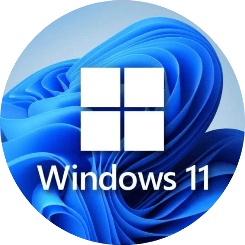 Disking Windows 11